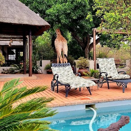 Graceland Eco Retreat Magoebaskloof Zewnętrze zdjęcie