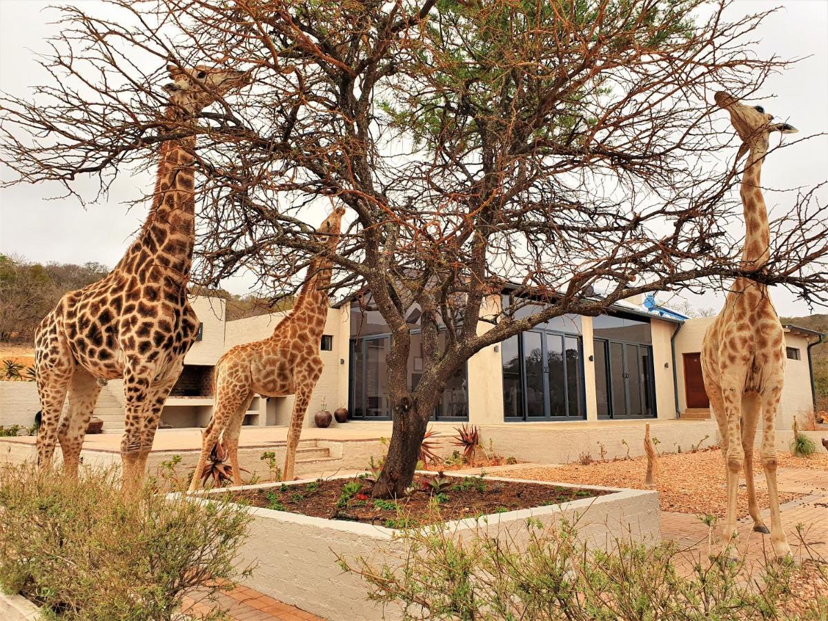Graceland Eco Retreat Magoebaskloof Zewnętrze zdjęcie