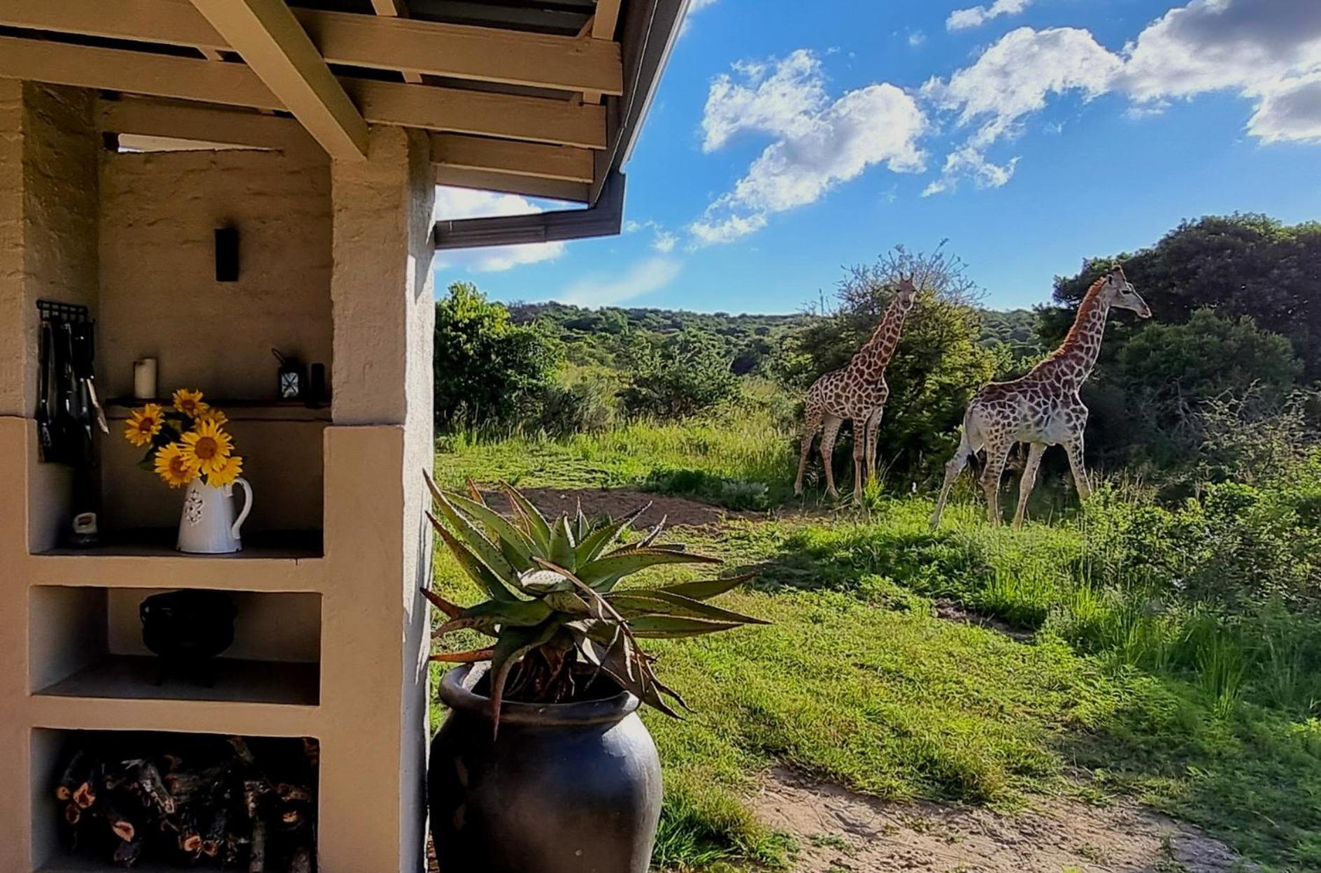 Graceland Eco Retreat Magoebaskloof Zewnętrze zdjęcie