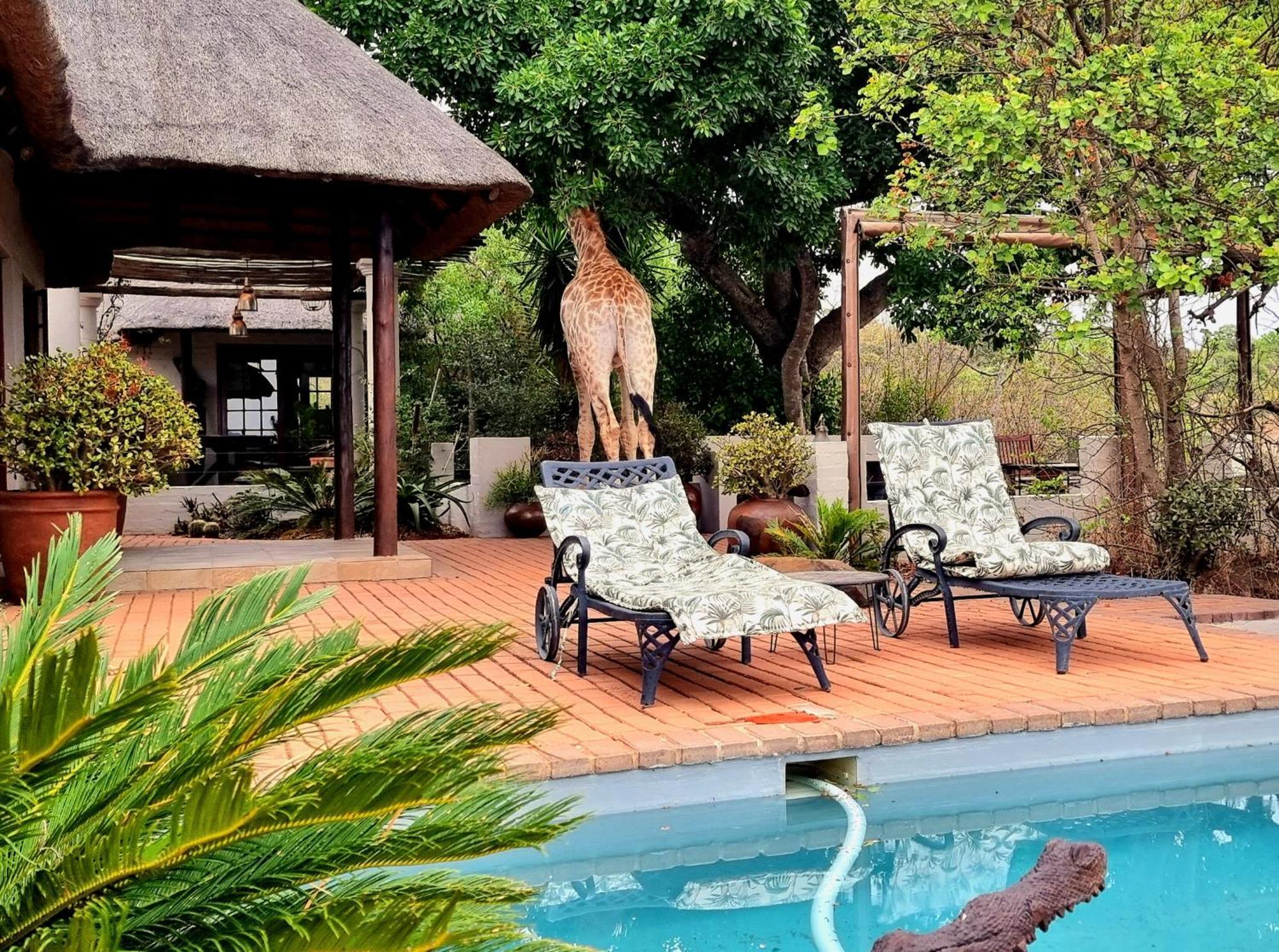 Graceland Eco Retreat Magoebaskloof Zewnętrze zdjęcie